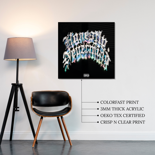 Honestly, Nevermind Acrylic Vibe Panel