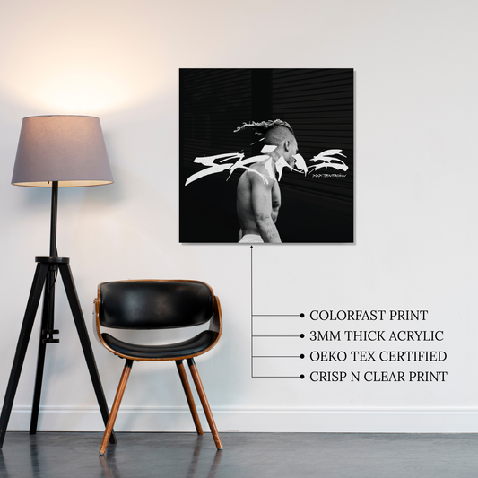 Skins Acrylic Vibe Panel