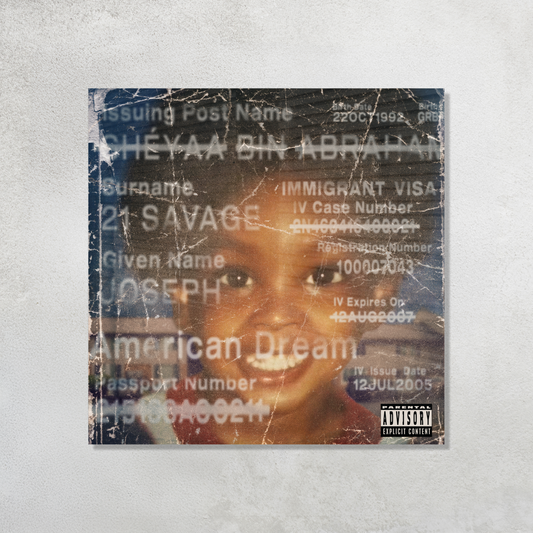 American Dream Acrylic Vibe Panel - Aniatic