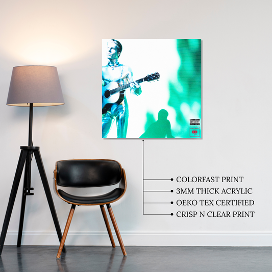 Chip Chrome & The Mono-Tones Acrylic Vibe Panel