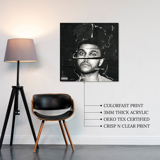 Beauty Behind the Madness Acrylic Vibe Panel