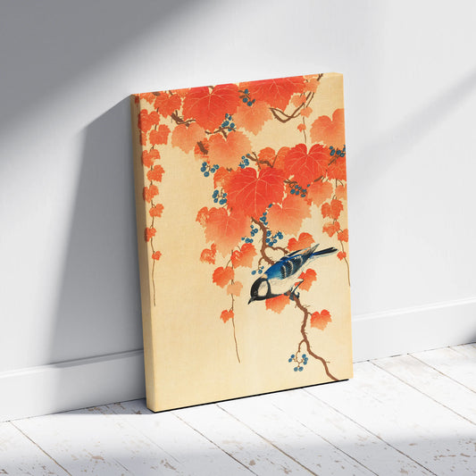 BIRD Canvas - Aniatic