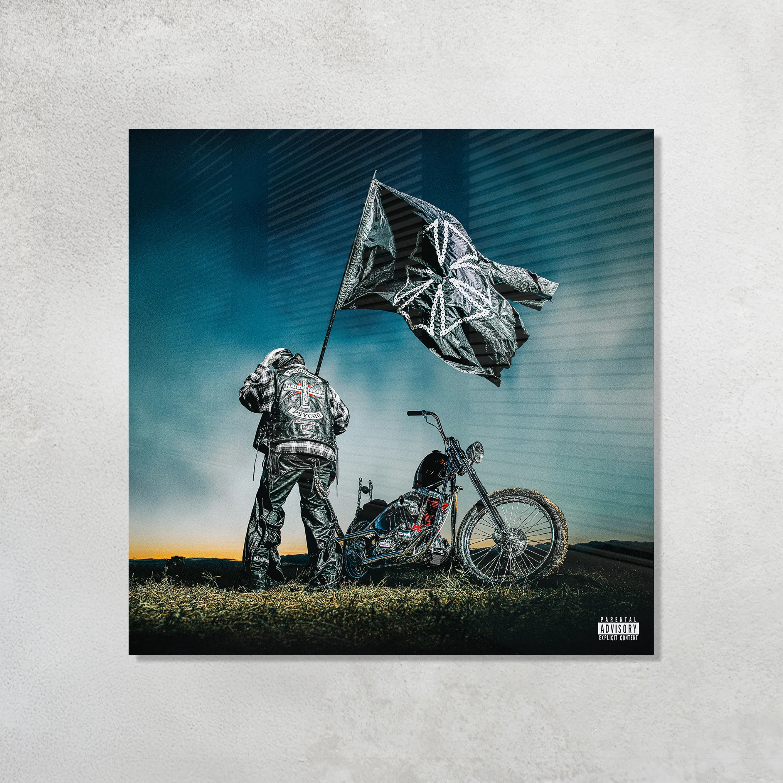 Hardstone Psycho Acrylic Vibe Panel - Aniatic