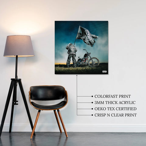 Hardstone Psycho Acrylic Vibe Panel - Aniatic