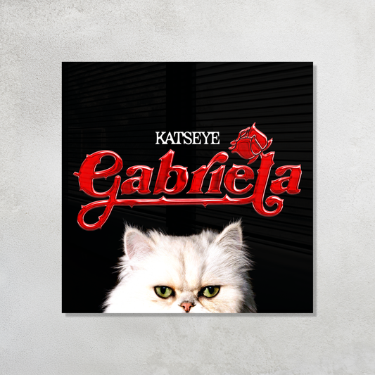 Gabriela Acrylic Vibe Panel