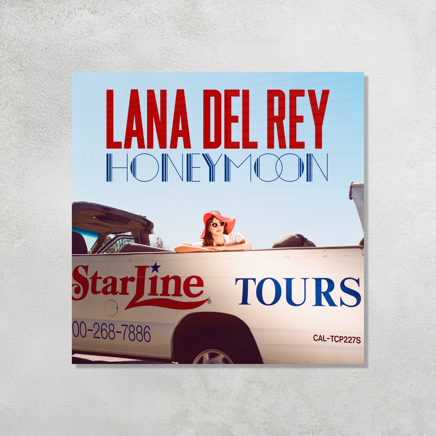 Honeymoon Acrylic Vibe Panel