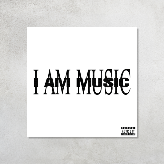 Music Acrylic Vibe Panel