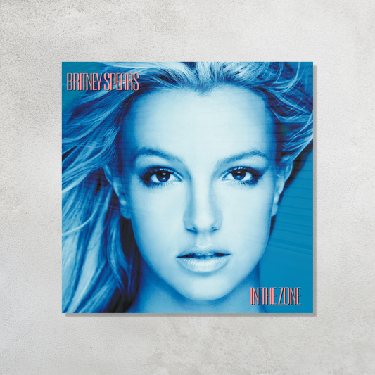 In the Zone Acrylic Vibe Panel