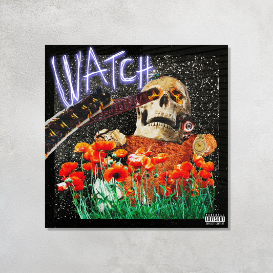 Watch Acrylic Vibe Panel