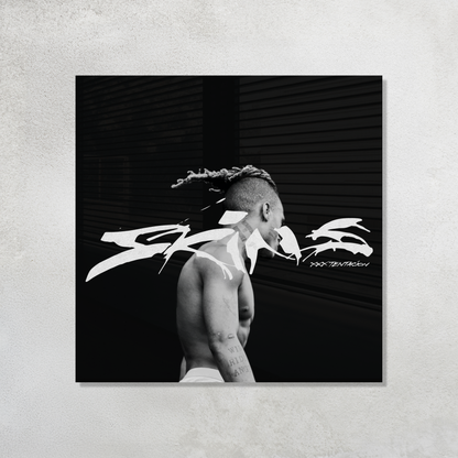 Skins Acrylic Vibe Panel