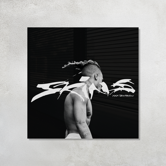 Skins Acrylic Vibe Panel