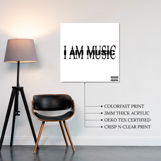 Music Acrylic Vibe Panel