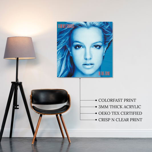 In the Zone Acrylic Vibe Panel