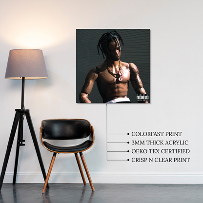 Rodeo Acrylic Vibe Panel