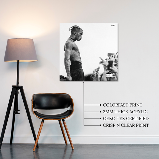 look at me Acrylic Vibe Panel