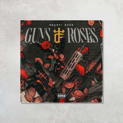 Guns and Roses Acrylic Vibe Panel