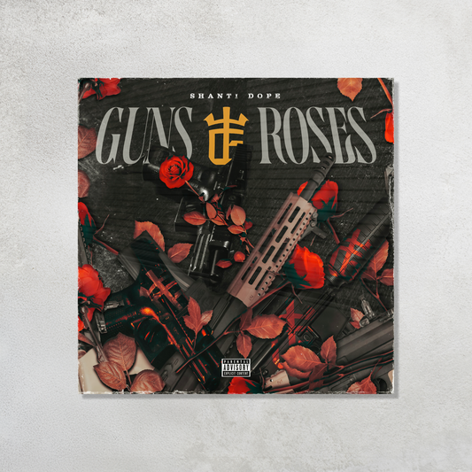 Guns and Roses Acrylic Vibe Panel